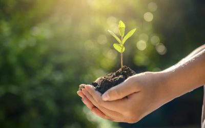 Helping Your Children Grow their Testimonies 